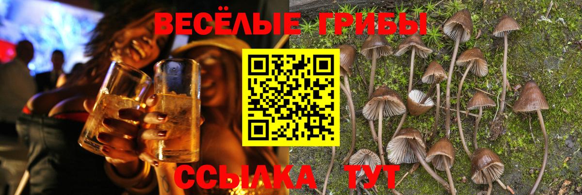 Псилоцибиновые грибы мухоморы Обнинск