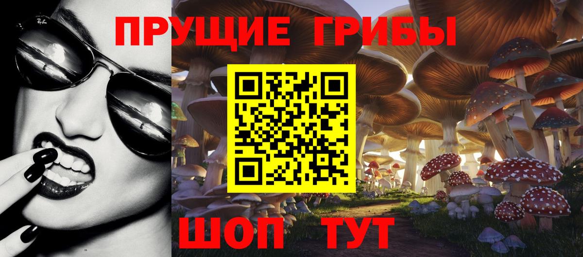 Обнинск  Галлюциногенные грибы прущие грибы  Вход с VPN 